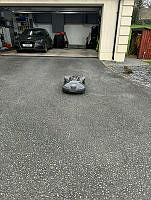 IMG_9732.jpg