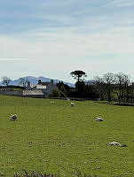 IMG_9765.jpg
