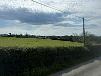 IMG_9763.jpg