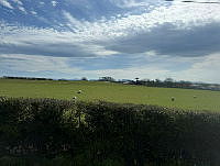 IMG_9762.jpg