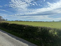IMG_9761.jpg